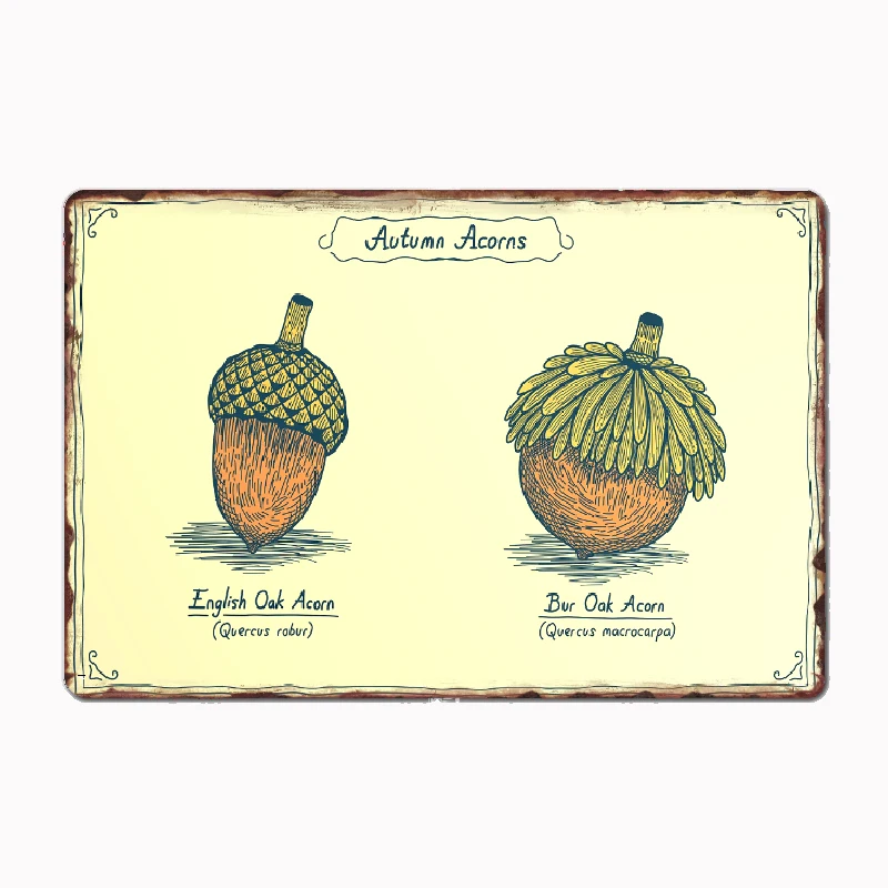 Autumn Acorns Botanical Poster Metal Custom Sign Living Room Wall Indoor Decor Room Decoration Bedroom Posters Home Decor