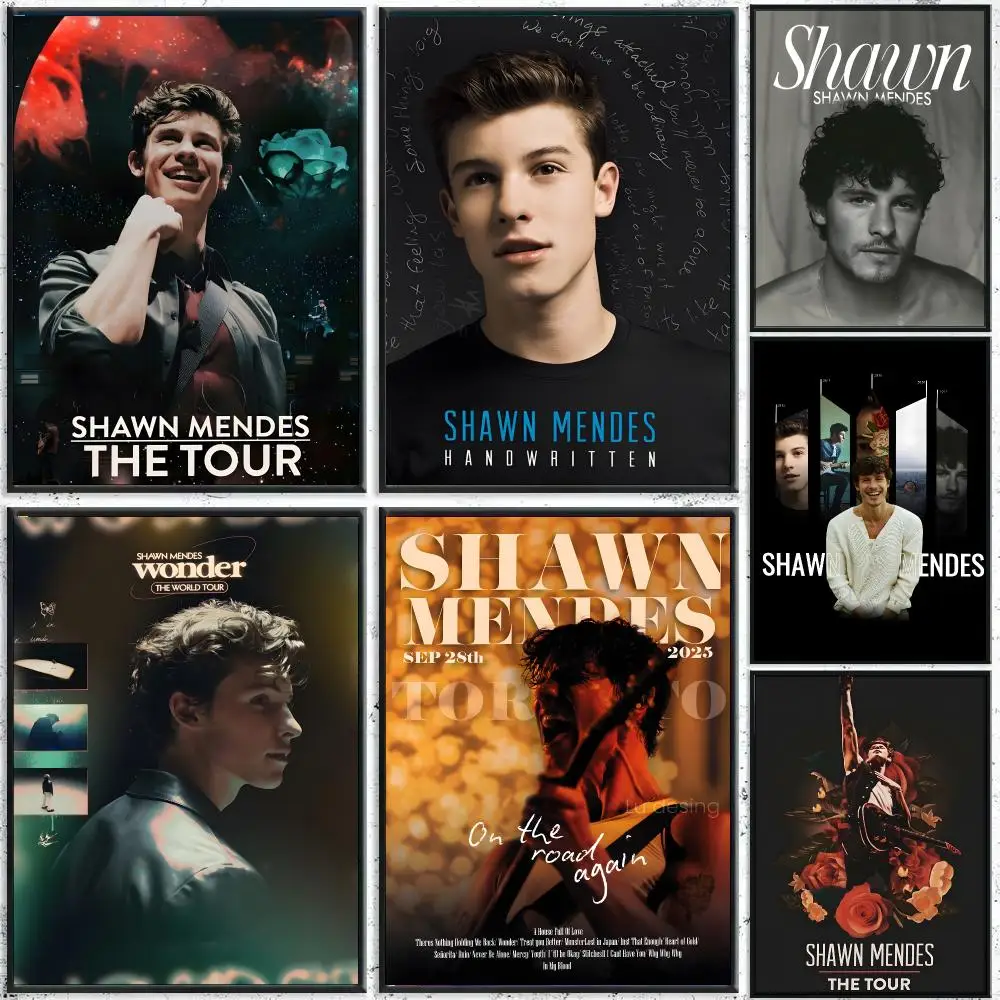 Shawn Mendes Pop Music Decor Poster HD Waterproof Wall Decal for Study, Living Room & Garage, DIY Great Gift for Fans