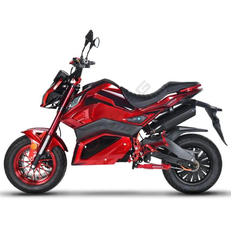 New Style  High Speed  Electric Motorcycles 1000 Watts  for Adult