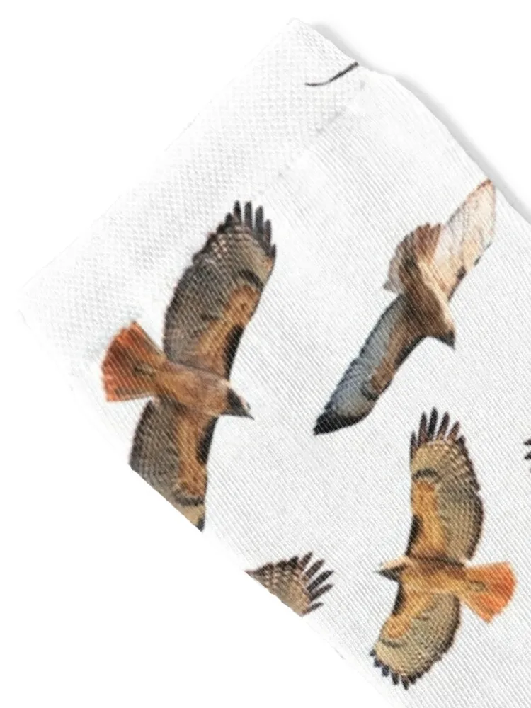 Red Tail Hawk Collage - Blank Background Socks shoes New year's funny gifts cool Socks Woman Men's