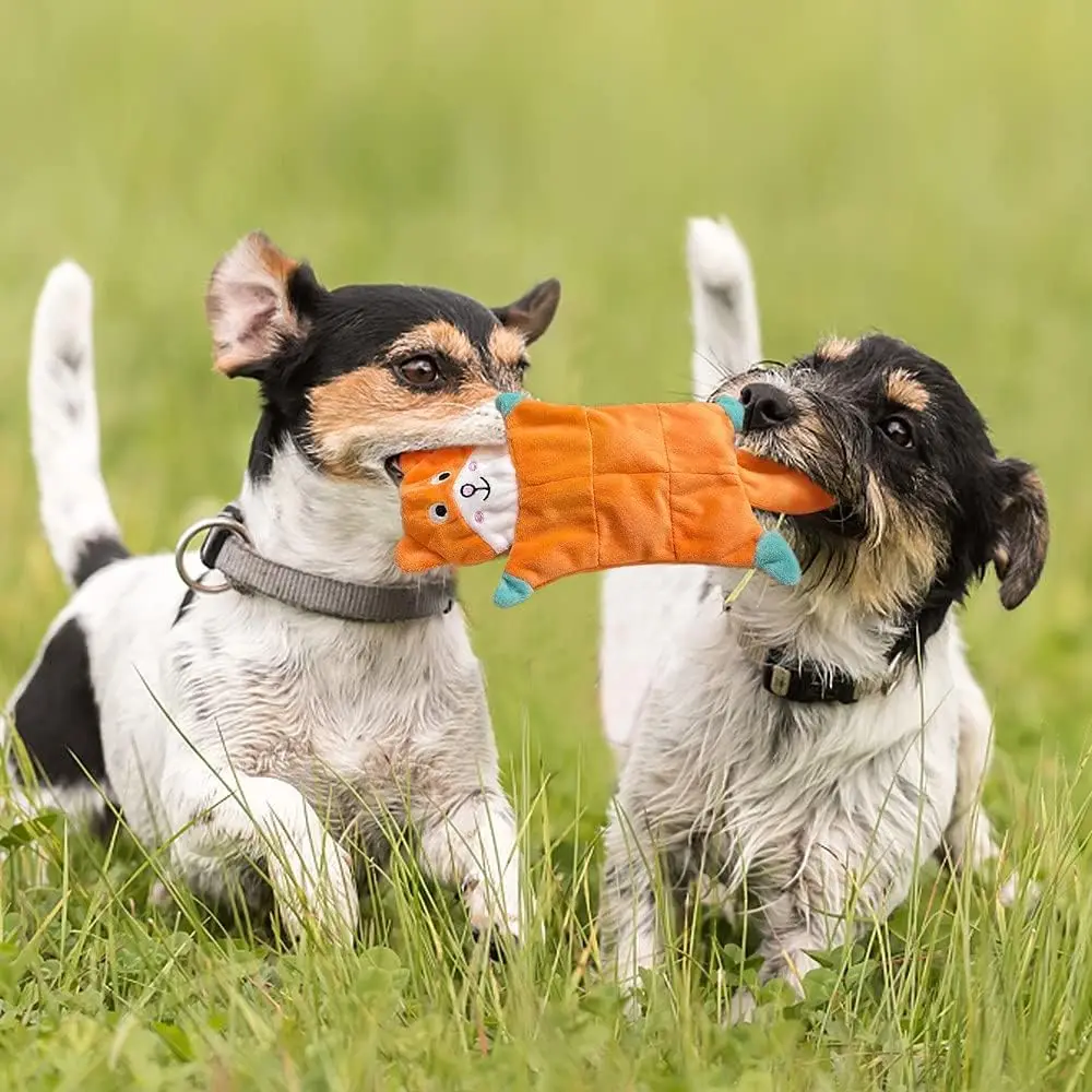 

5-Piece Durable Dog Chew & Squeak Toy Set Pleated Plush Pet Toy for Small & Medium Sized Puppies Cute Holiday Toy Reduce Boredom