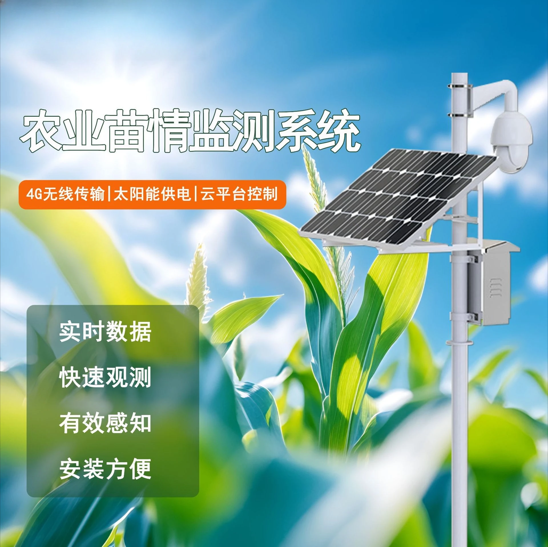 Seedling condition monitoring system, agricultural four conditions, monitoring crop growth status