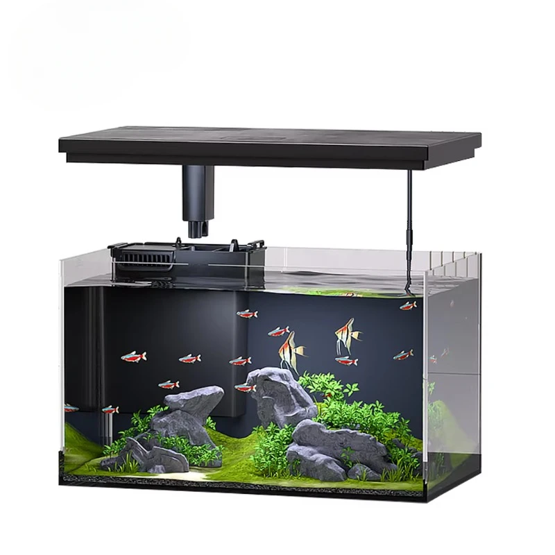 Desktop fish tank Microscopic ecology Koi fish Mini aquarium fish Nepall acrylic glass aquarium