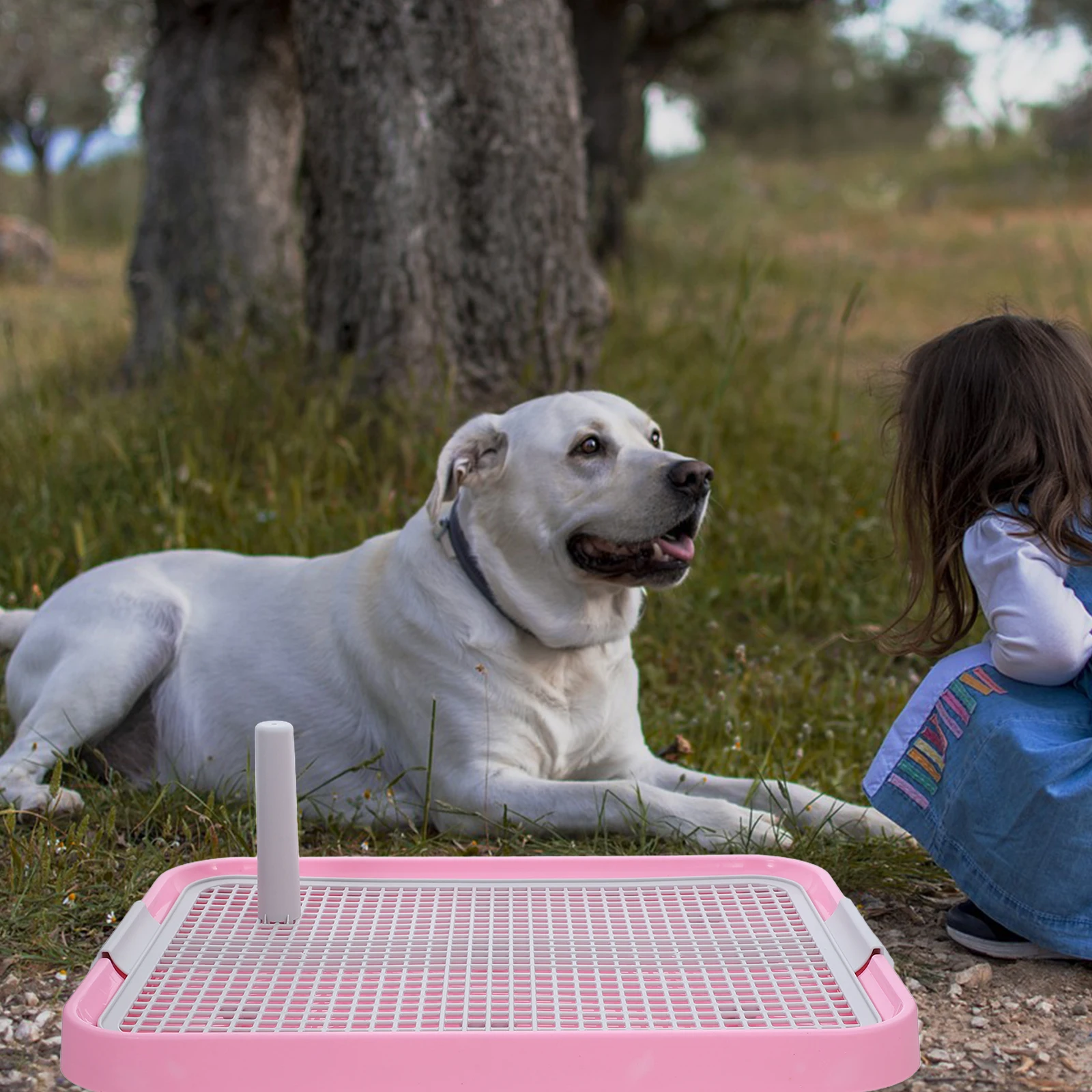 Cane per uso interno Materiale ABS durevole Facile da pulire Lettiera a prova di fuoriuscite Vassoio vasino per addestramento di cuccioli Bagno Pad per cacca Cani