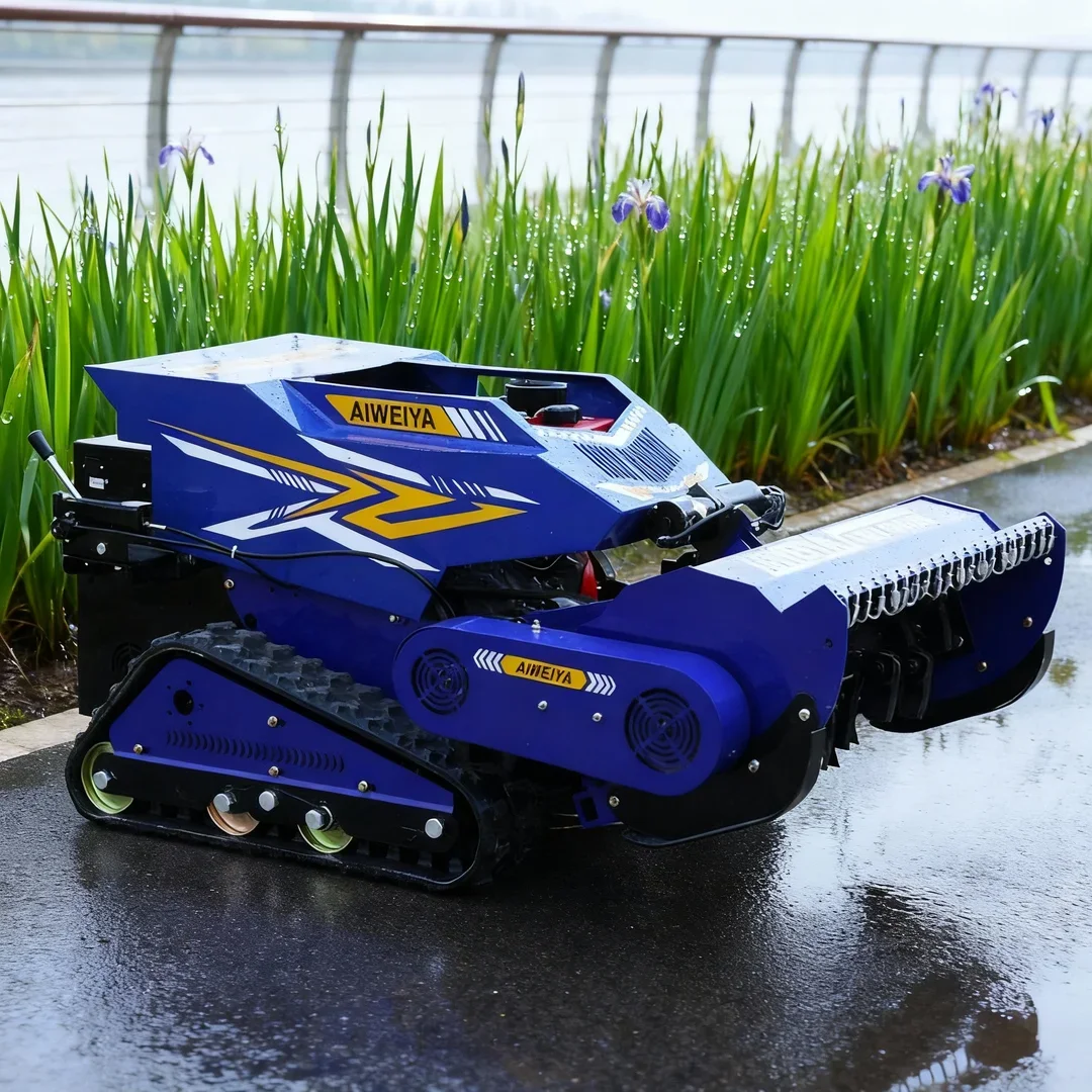 Customized Remote-C…