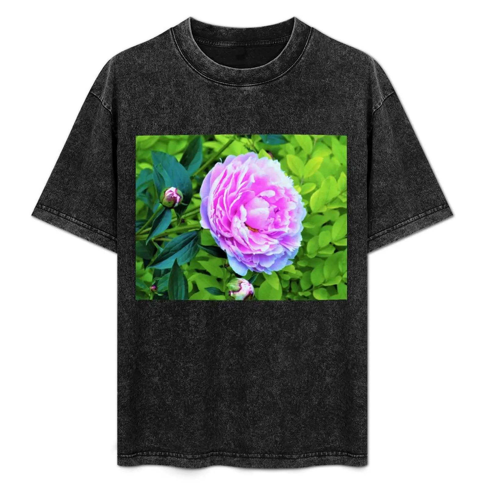 

Pink Peony and Golden Privet Hedge Garden T-Shirt Simple Casual Short Sleeve Tee