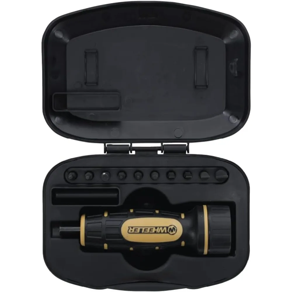 Chiave dinamometrica di precisione per armi da fuoco che accurano con misurazione pollici/libra, set di punte e custodia per montaggio su cannocchiale e Gu