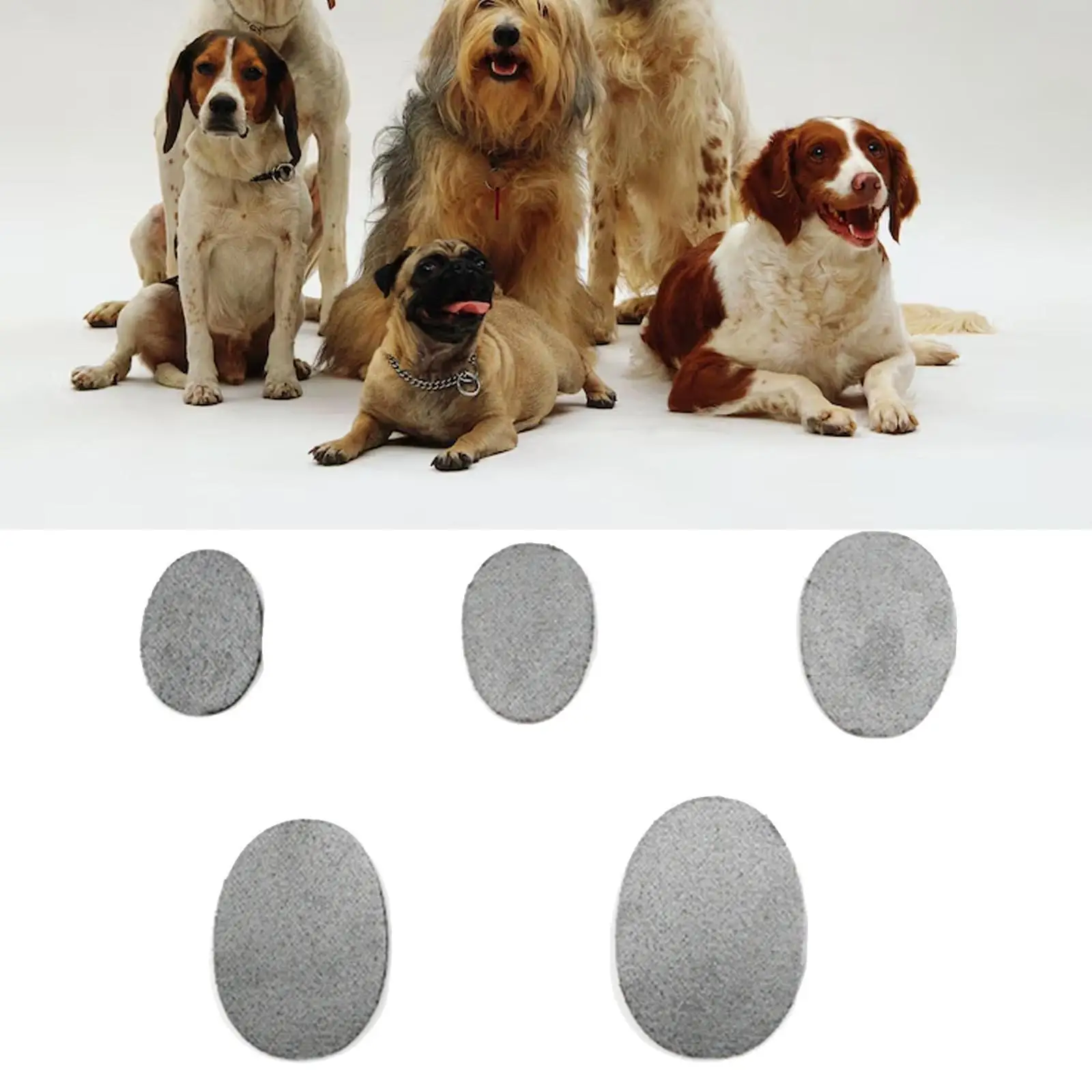 

4Pcs Pet Dog Insoles Soft Booties Socks Sweat-absorbing Nonslip Dustproof Dog Paw Pad Pet Shoe Pads for Puppy Accessories