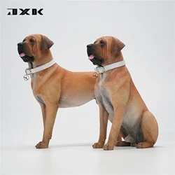 JXK 1/6 Tosa Inu Model Animal Competitive Dog Scene Decoration Soldier Accessory Birthday Gift Collector Adults Toy