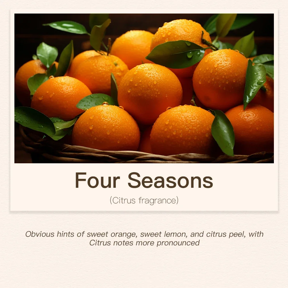 Variant: Four Seasons Hotel