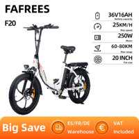 FAFREES F20 Adult Electric Bicycle 250W Men's E-Mountain Ebike with 36V 16AH Battery 20 Inch Wheel Size Cycling Electric Bike