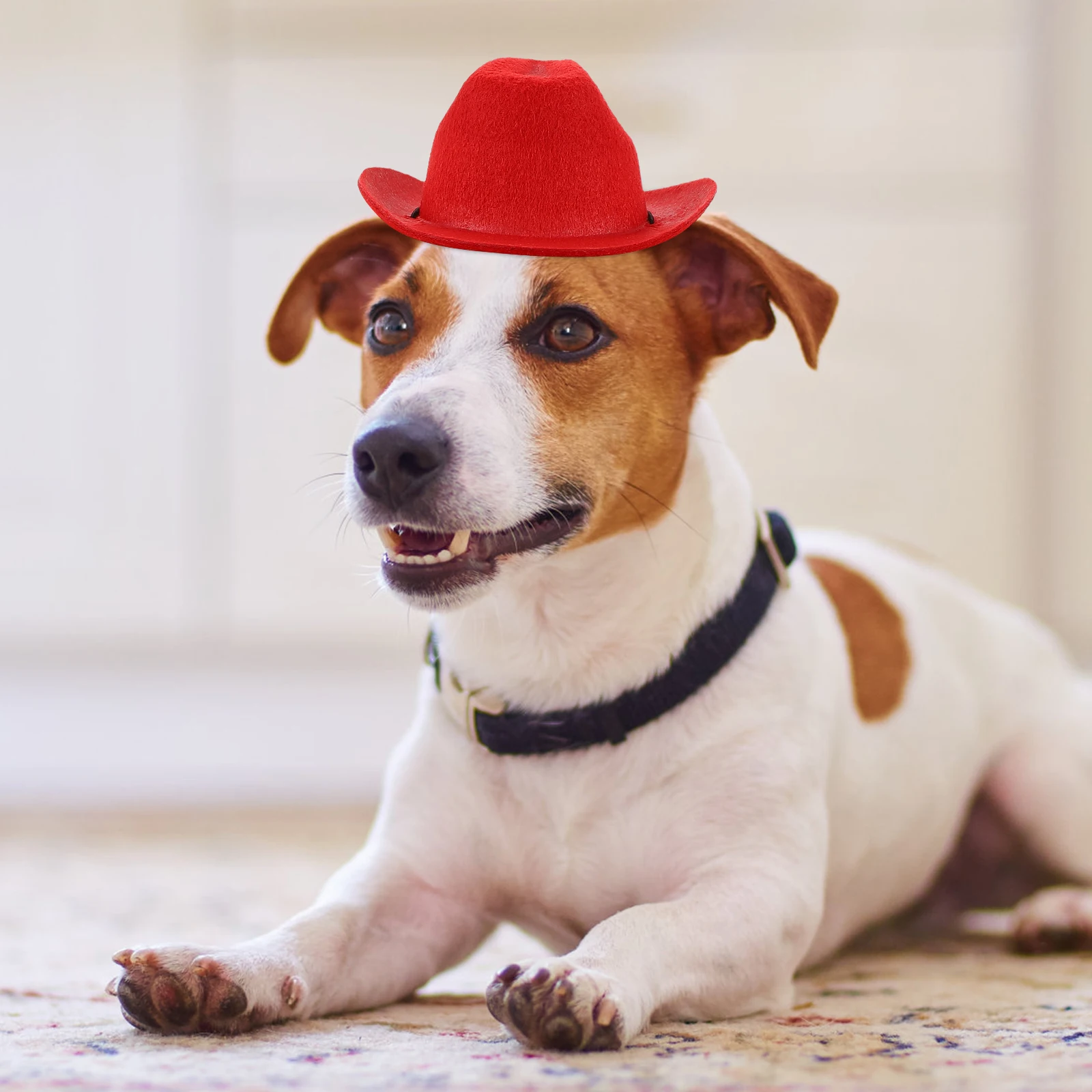 

Pet Hat White Cute Cowboy Has Small Dog Halloween Accessory Animal