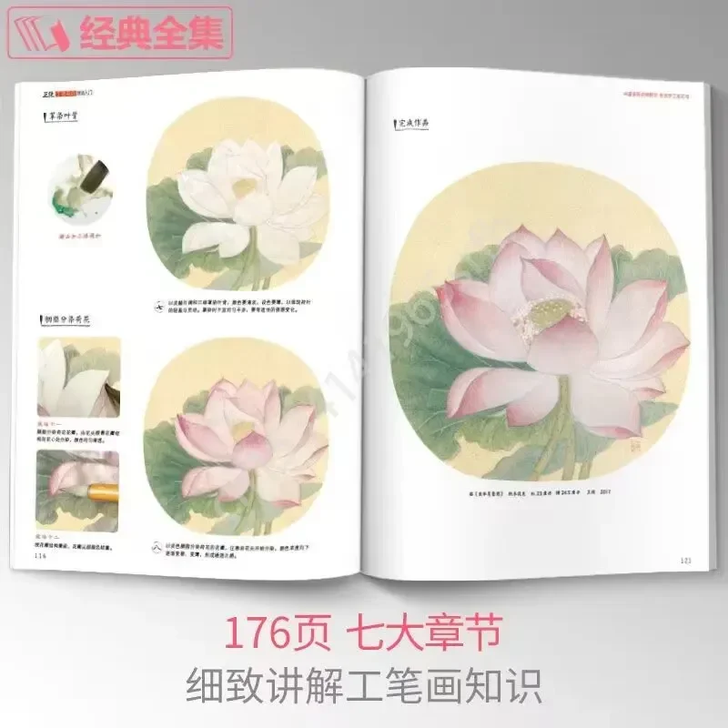 New Meticulous Birds and Flowers Techniques Getting Started Basic Tutorials Books Chinese Gongbi Paintings Colored Peony