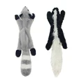Raccoon Skunk