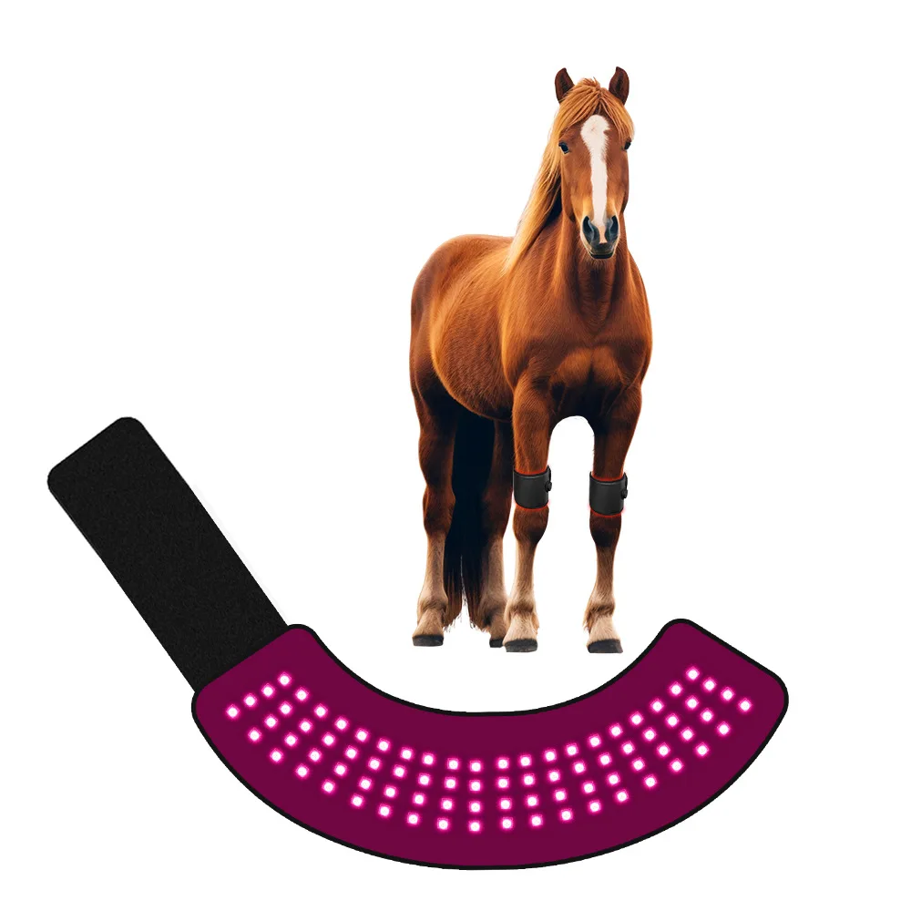 Hot-selling leg injury red light therapy horse hoof near-infrared red light therapy board with built-in battery infrared therapy