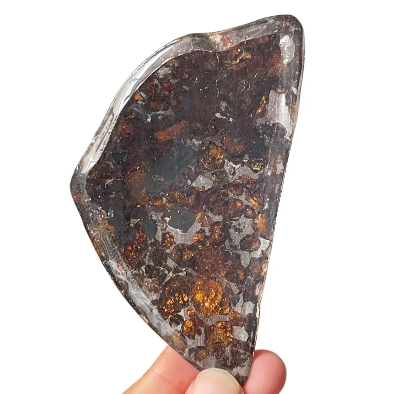 Rare Sericho Pallasite Meteorite Slice Original Polished Specimen From Kenya Golden Olivine Crystal Space Rock Collection CA101