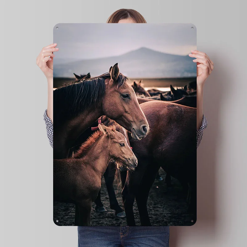 Pony and Mon Tin Plaque Poster Customized Retro Wall Art Vintage Metal Signs for Room Bedroom Decoration Home Decor Items Garden