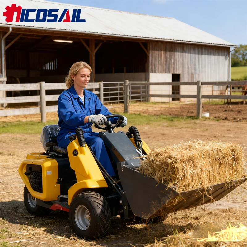 

EPA CE дизельный рулевой погрузчик, мини-погрузчик рулевого управления, продается на скидку 60% с гарантией 1 год.