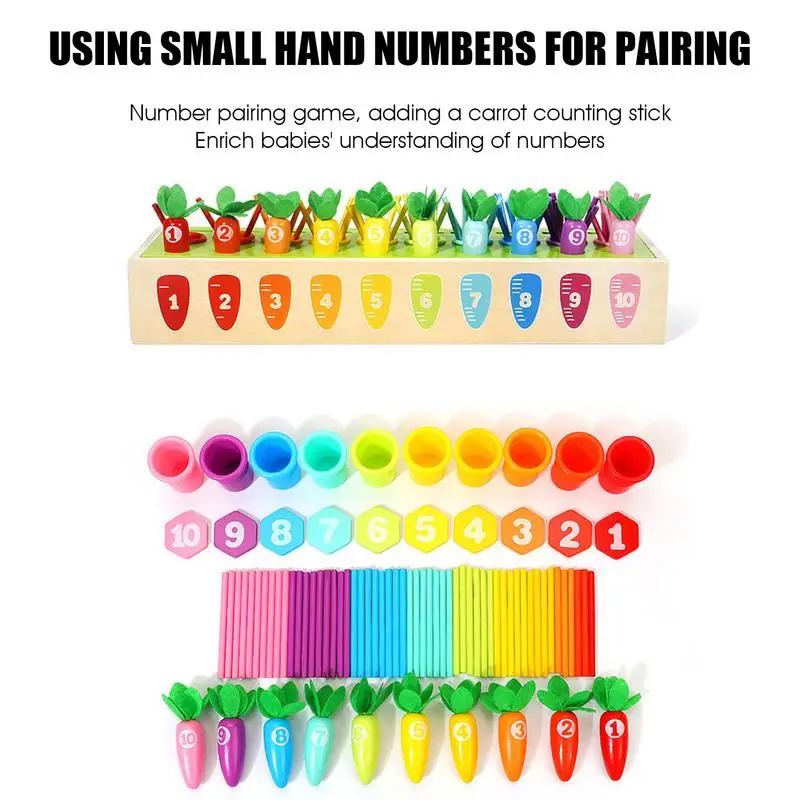 Giocattolo per tirare la carota Giocattolo per l'apprendimento della matematica Giocattolo educativo STEM Montessori Migliora le abilità motorie fini Migliora la capacità di conteggio