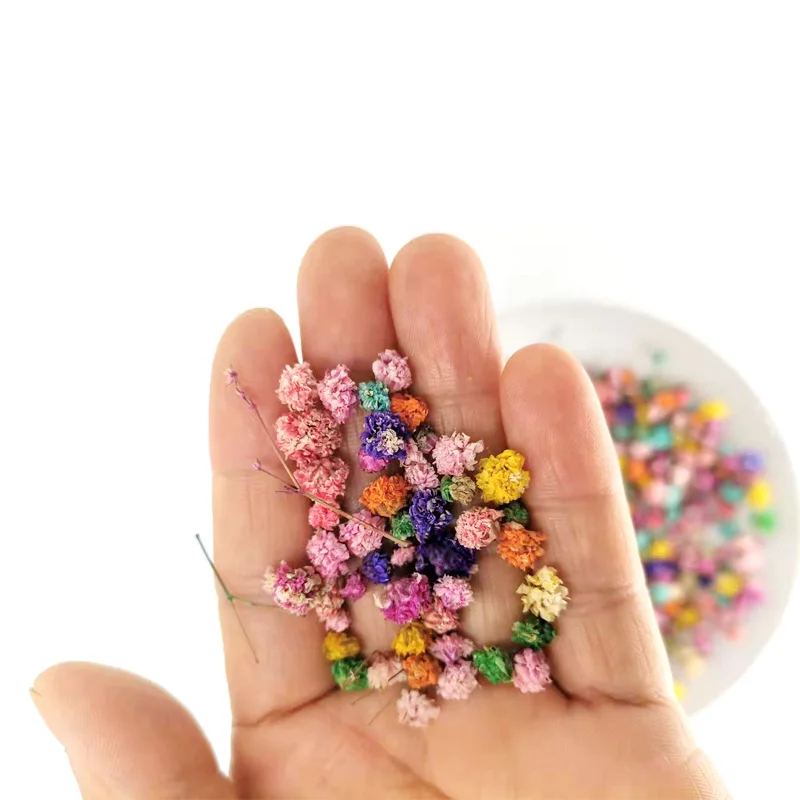 Secas Flores Cabeça Gypsophila Plantas, Pingente de Resina Epóxi, Colar Jóias Fazendo Artesanato, DIY Nail Art, 2g