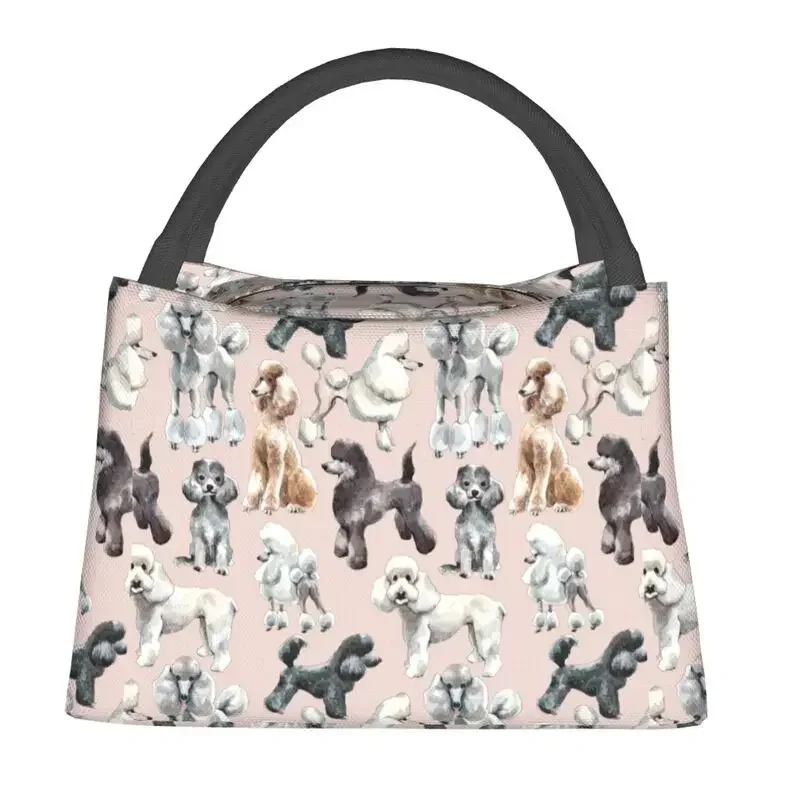 

Custom Cute Poodles Dog Insulated Lunch Bags for Women Pudel Caniche Portable Cooler Thermal Bento Box Outdoor Camping Travel
