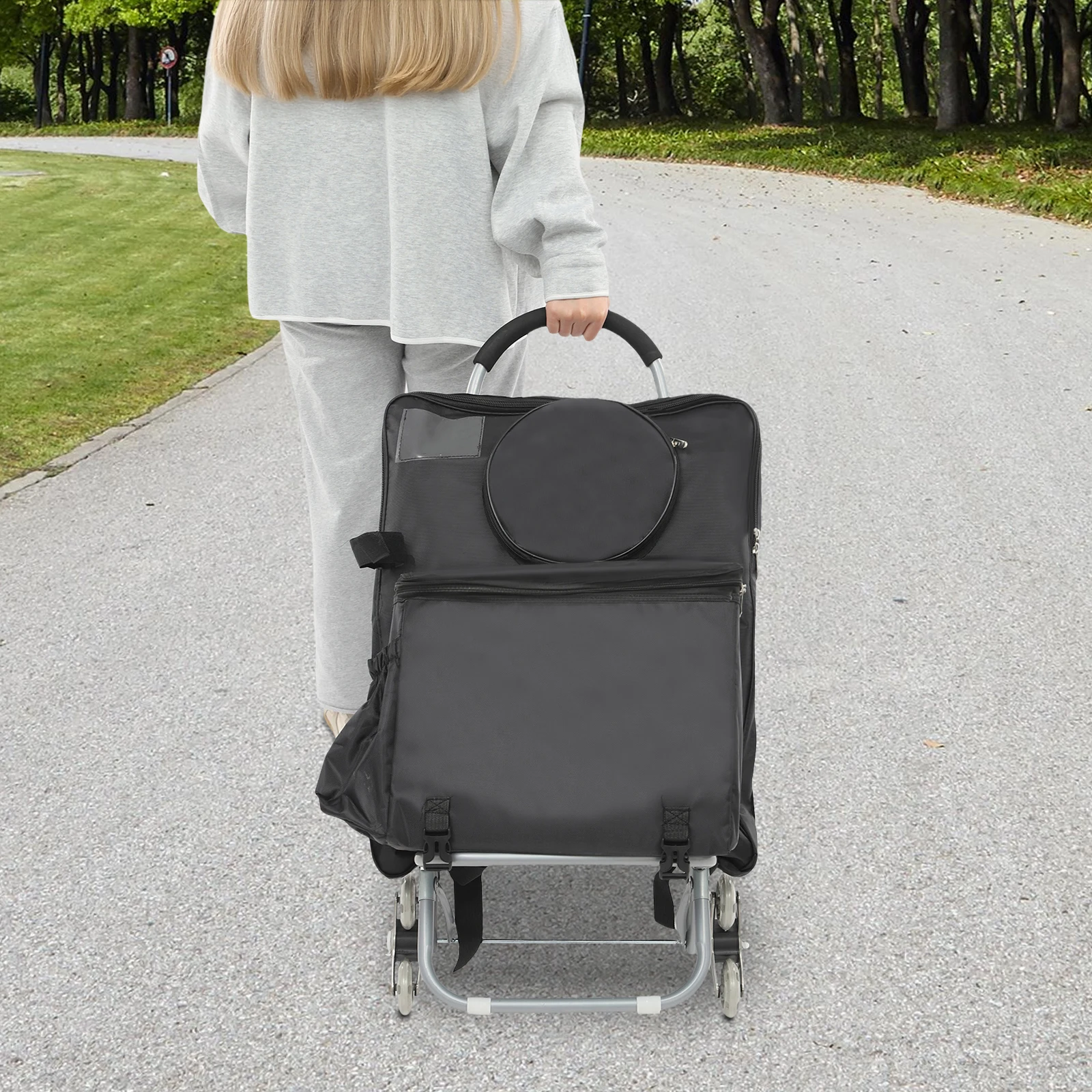 Multi-use Rolling Cart Folding Wheeled Art Cart Portable Chair with a Practical Bag for Outdoor Painting, Mall Shopping Silver/Black
