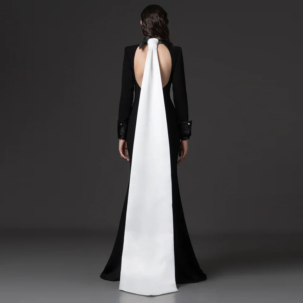 Designer Party Host Dress Fashion Celebrity Dinner Party Long Dress Open Back Dress Women's Evening Dress