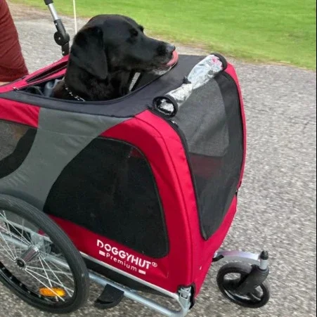 a for2-in-1 Dog Pet Bike Trailer/Jogging Stroller With 360-Degree Swivel Wheels & Large Easy Entry