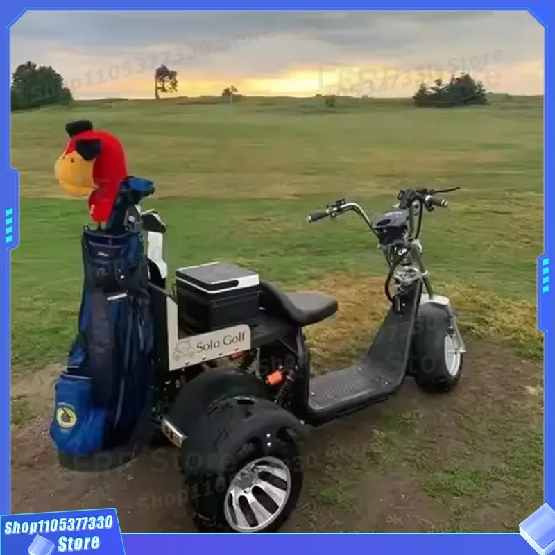 Custom Label 3 Wheel Golf Cart 2 Seater Electric Scooter for Australian Market Wholesale Parison Design Lightweight Mobility