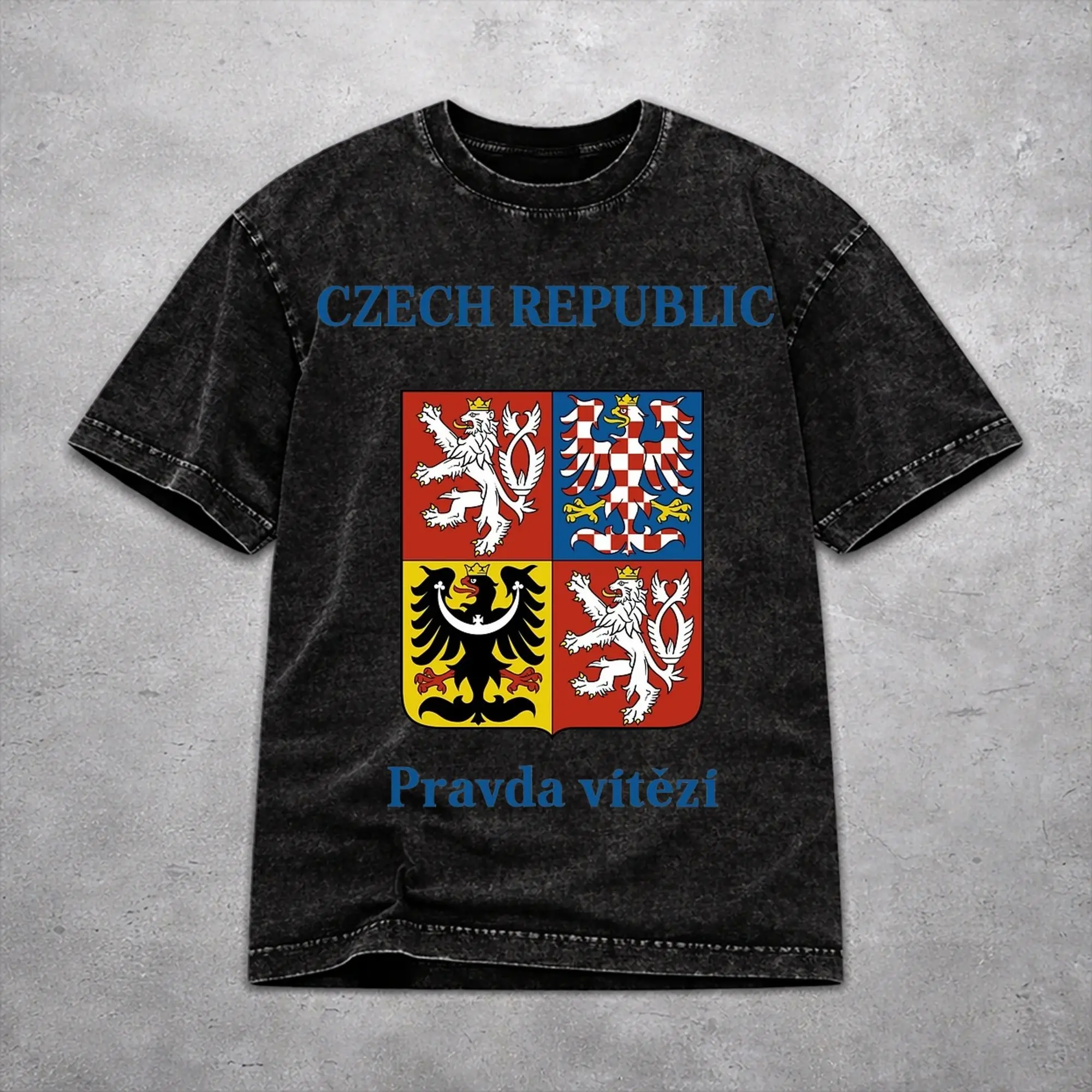 Harajuku Czech Republic Coat of Arms Merch T Shirt for Men Women  Washed Style Tee Shirt Clothes