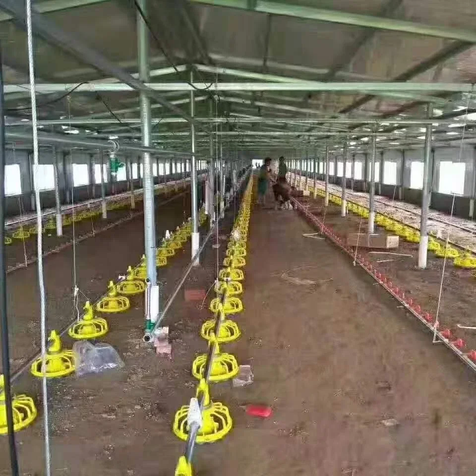 Automatic Chicken Drinking And Feeding System For Chicken Poultry Farming Equipment