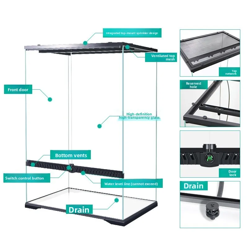 

Cylinder landscaping ultra-white glass box, tropical rainforest plant and animal feeding box