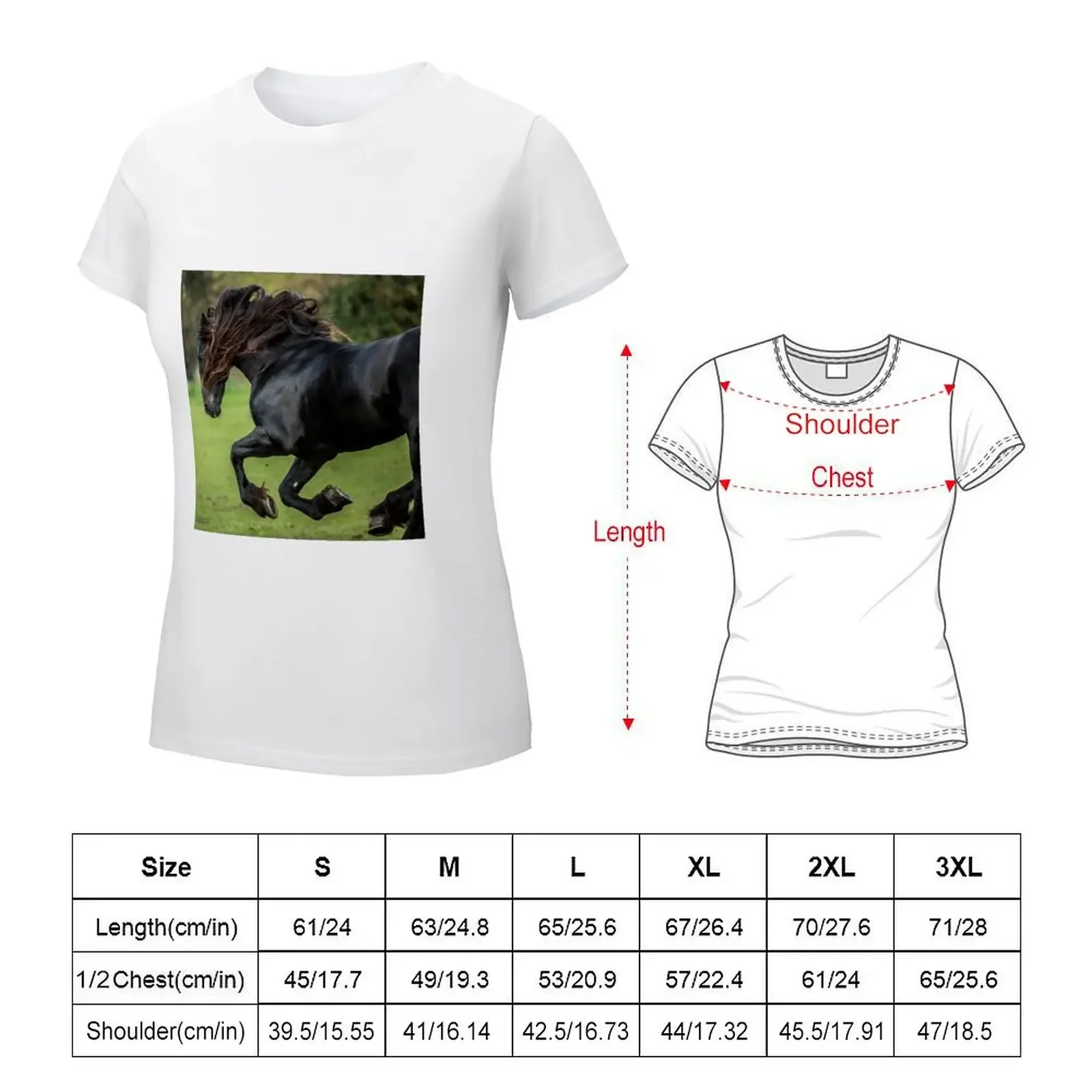 The Friesian Experience - Beautiful Black Beauty Friesian Horses T-shirt funny cute tops T-shirts for Women