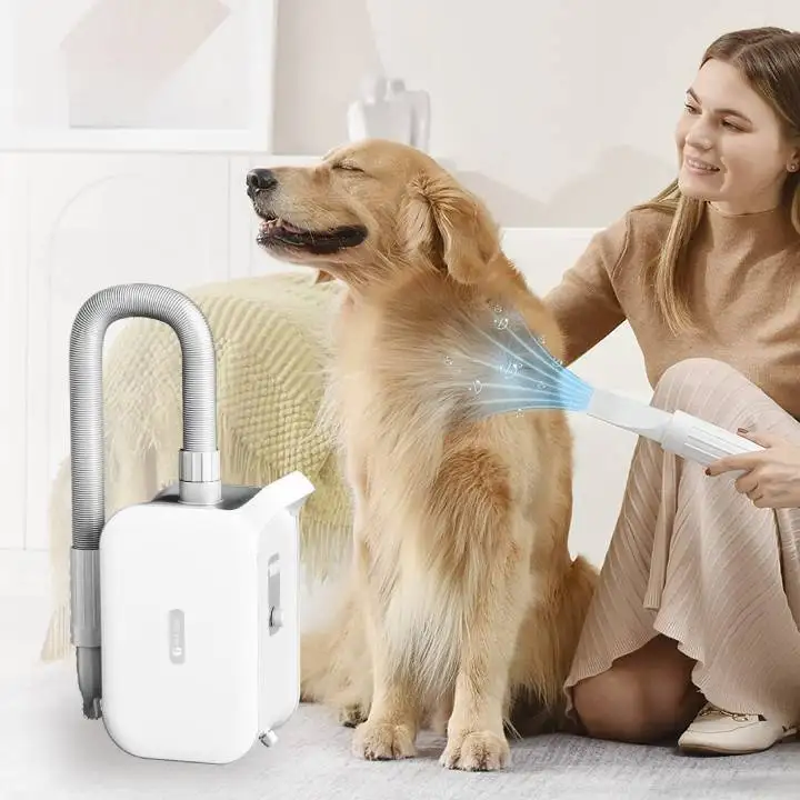 Professional Low Noise Dog Hair Dryer With 4 Nozzle Brushless Pet Dryer Cat Grooming Dryer for Dogs.