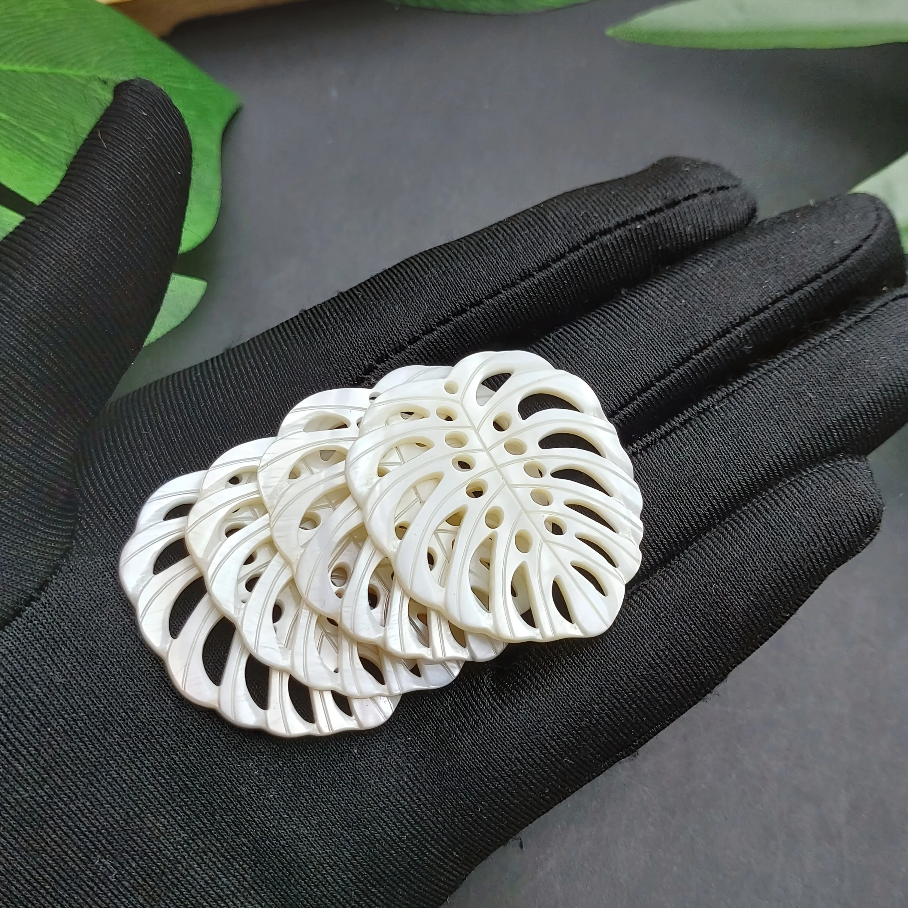 4 colgantes Monstera de nácar blanco tallado a mano de 40x36mm para fabricación de joyas