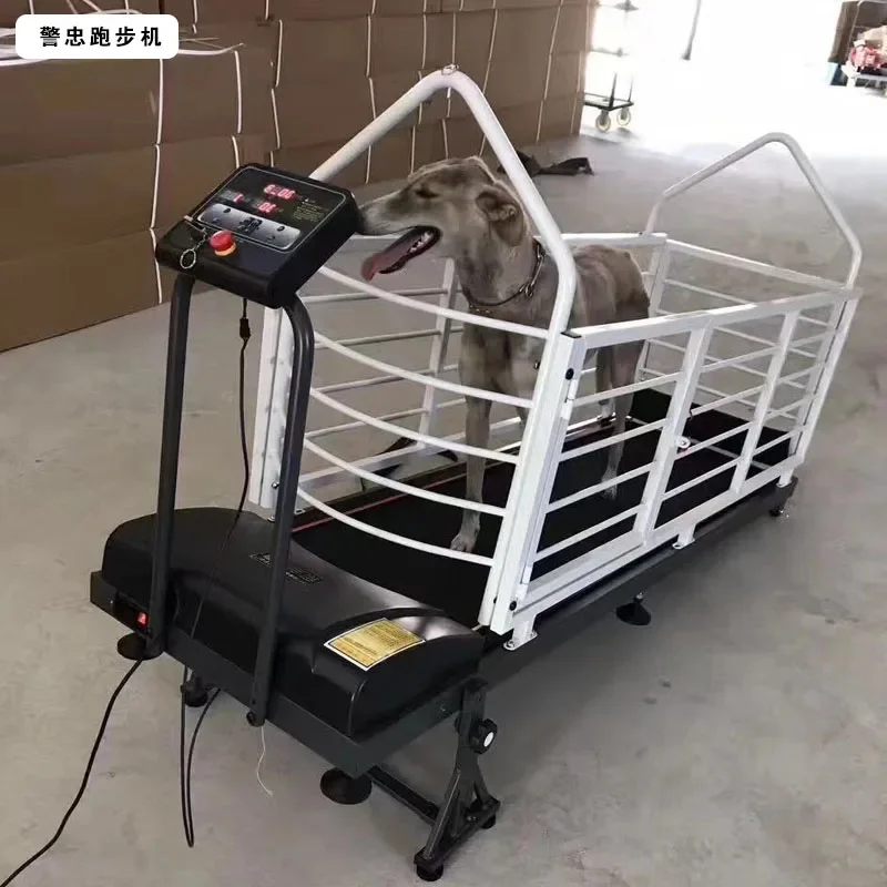 Jingzhong Dog Treadmill Pet Treadmill Electric  for Dogs Gree Dog Huibit