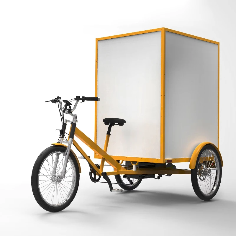 

Cargo Bike Electric Cargo Trike