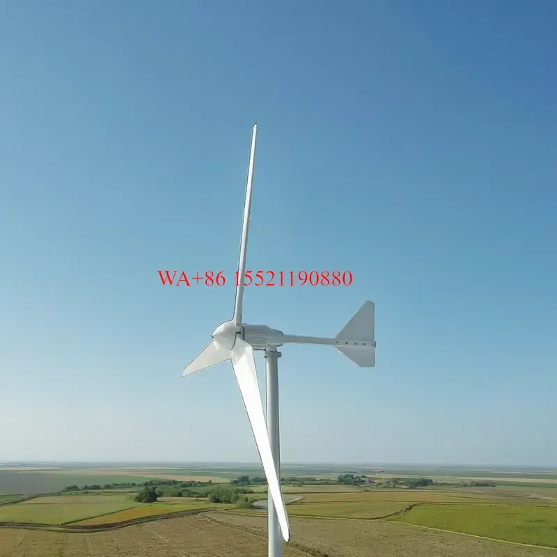 WMWMNU CE Certified 2KW Full Power Wind Turbine Generator for Farm Use 48V Voltage 2000W Windmill with 1.5M Length Blades