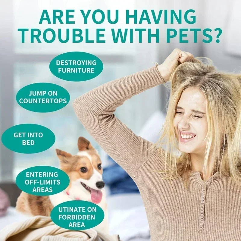 Thumbnail 4 - #24 Latest Puppy Training Offers