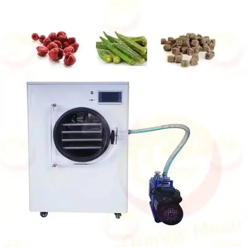 Freeze Drying Machine Small Vacuum Lab Freeze Dry Machine Home Use Mini Food Freeze Dryer Machine