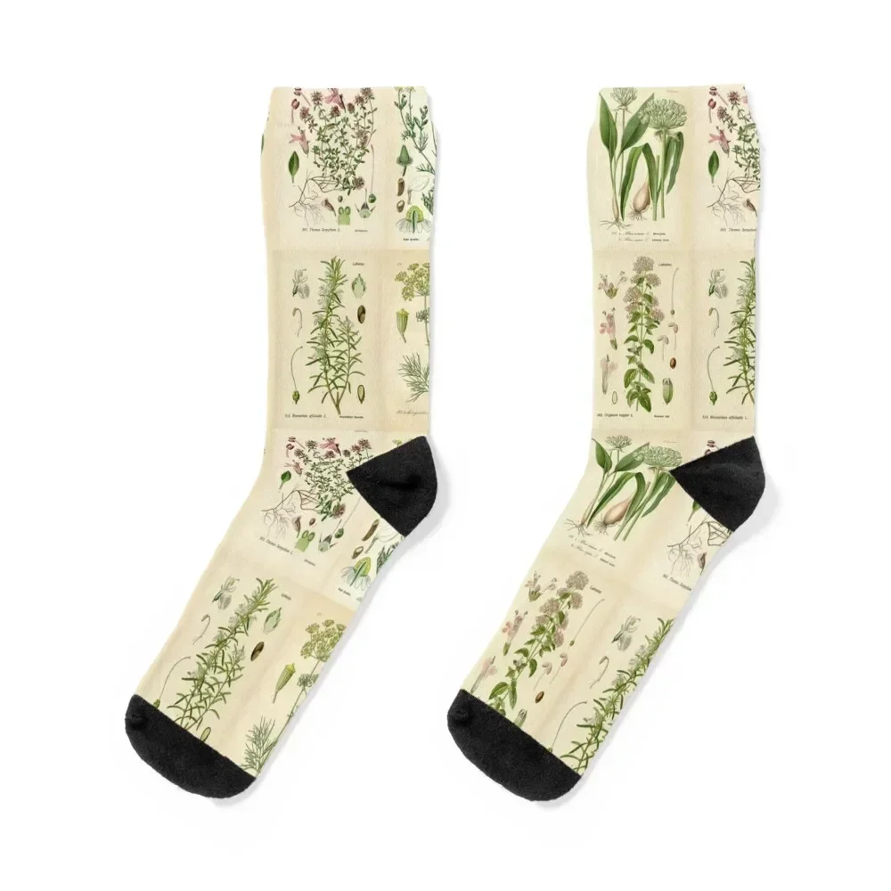 

Apothecary Herbs Vintage Botanical Plants Cottagecore Socks Running man Christmas Socks Female Men's