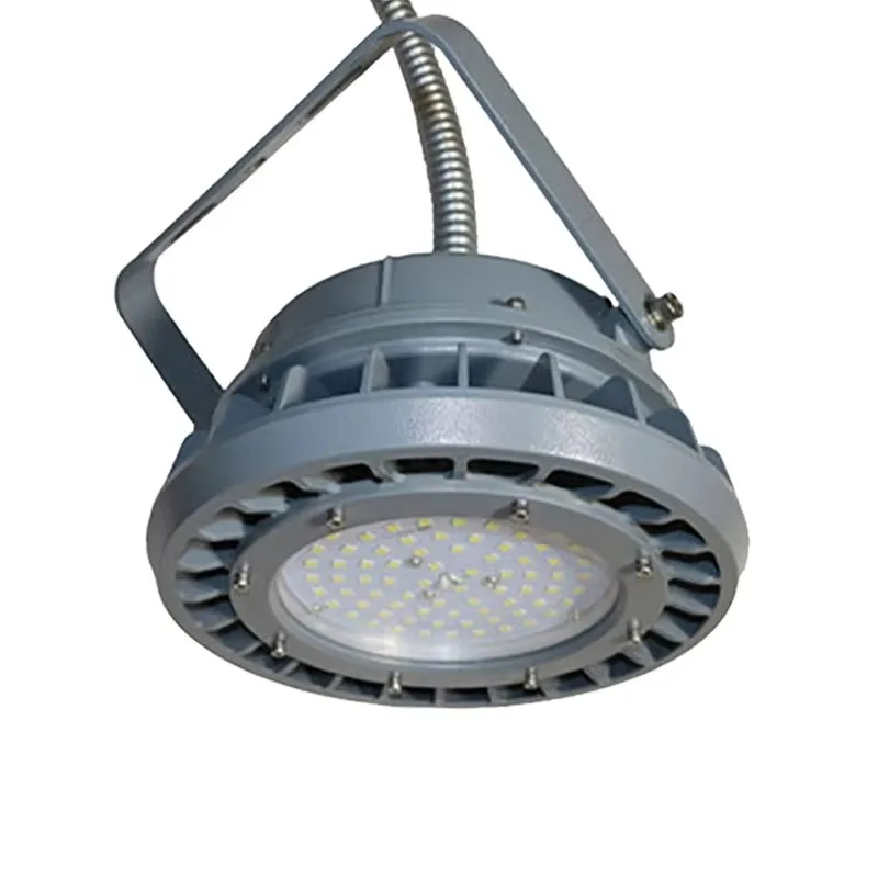 Light Emitting Diode Explosion Proof Lighting 100 Watts Luminescent Corrosion Special Design Heat Resistant Lamp