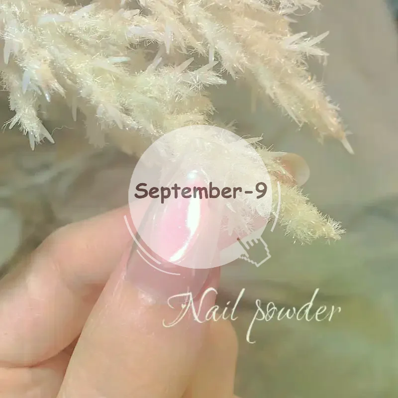 Nail Glitter Aurora Ice Transparent Laser Rainbow Mirror Gel Pigment Powder Chrome Nail Charm Gel Polish Art Decoration Supplie