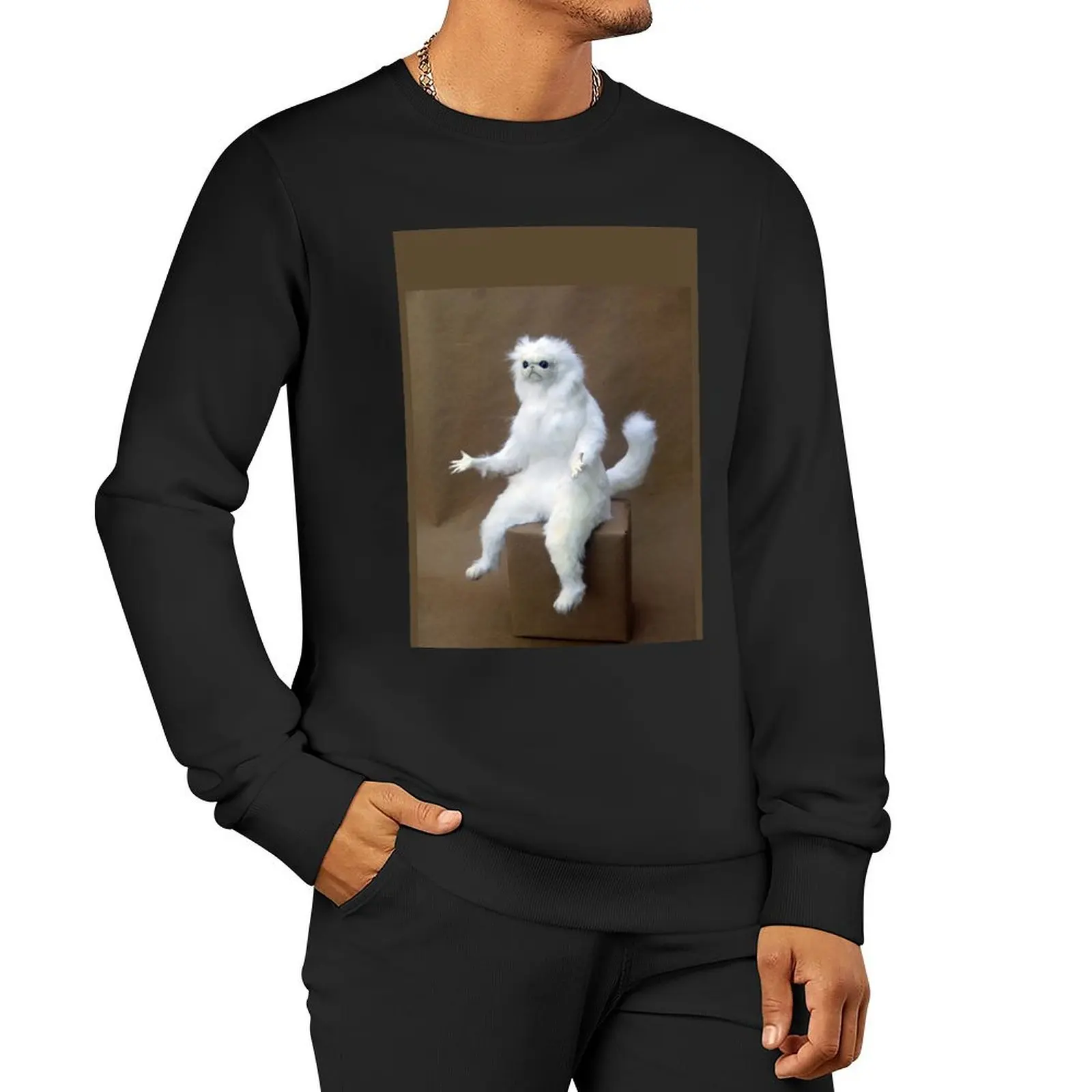 

Persian Cat Room Guardian Pullover Hoodie mens clothes japanese style autumn sweatshirt