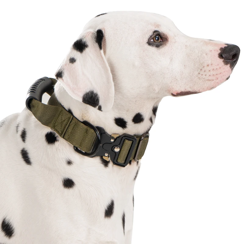 Taktisches Hundehalsband für mittelgroße und große Hunde, robuste Hundehalsbänder mit Griff, Hundetrainingshalsband mit Metallschnalle, dickes Militär – Detail 8