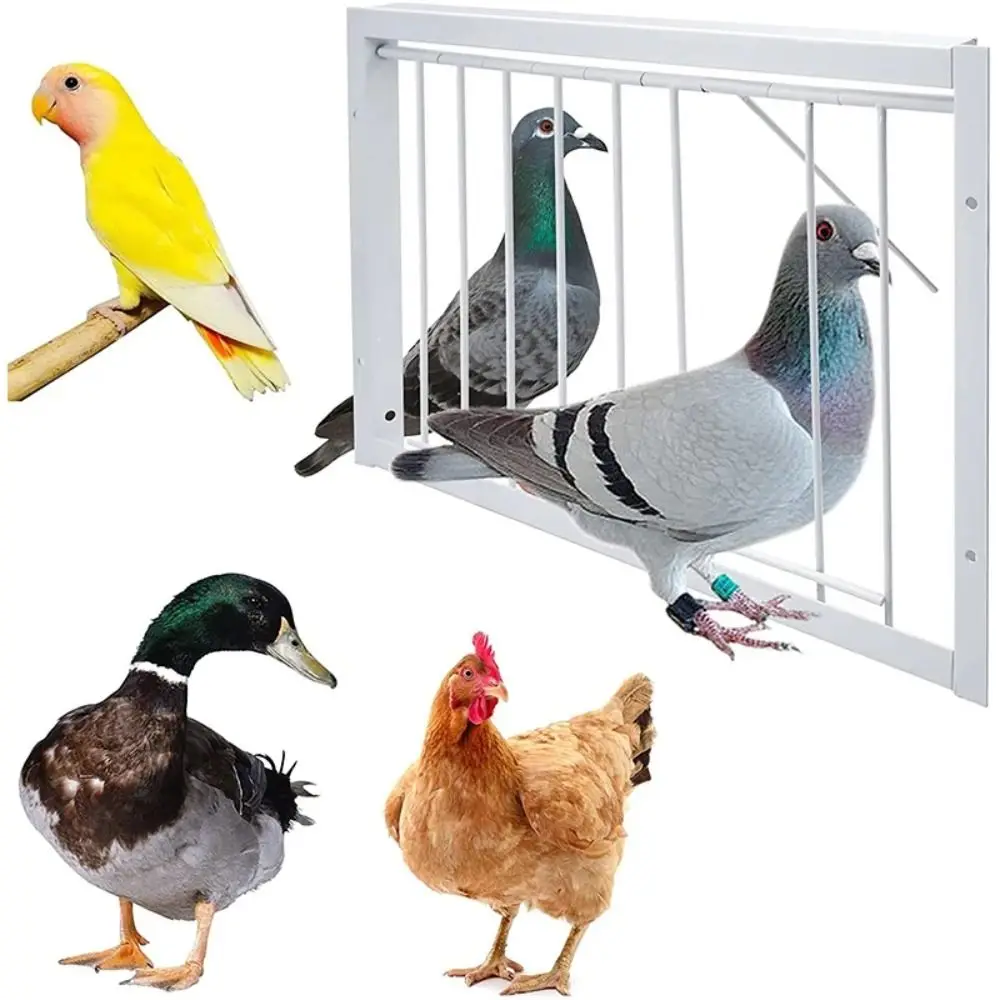 Porte mobile 30/40x26cm, porte de Loft pour Pigeon, piège d'entrée simple, porte d'entrée pour Pigeon, piège amovible, Cage à oiseaux