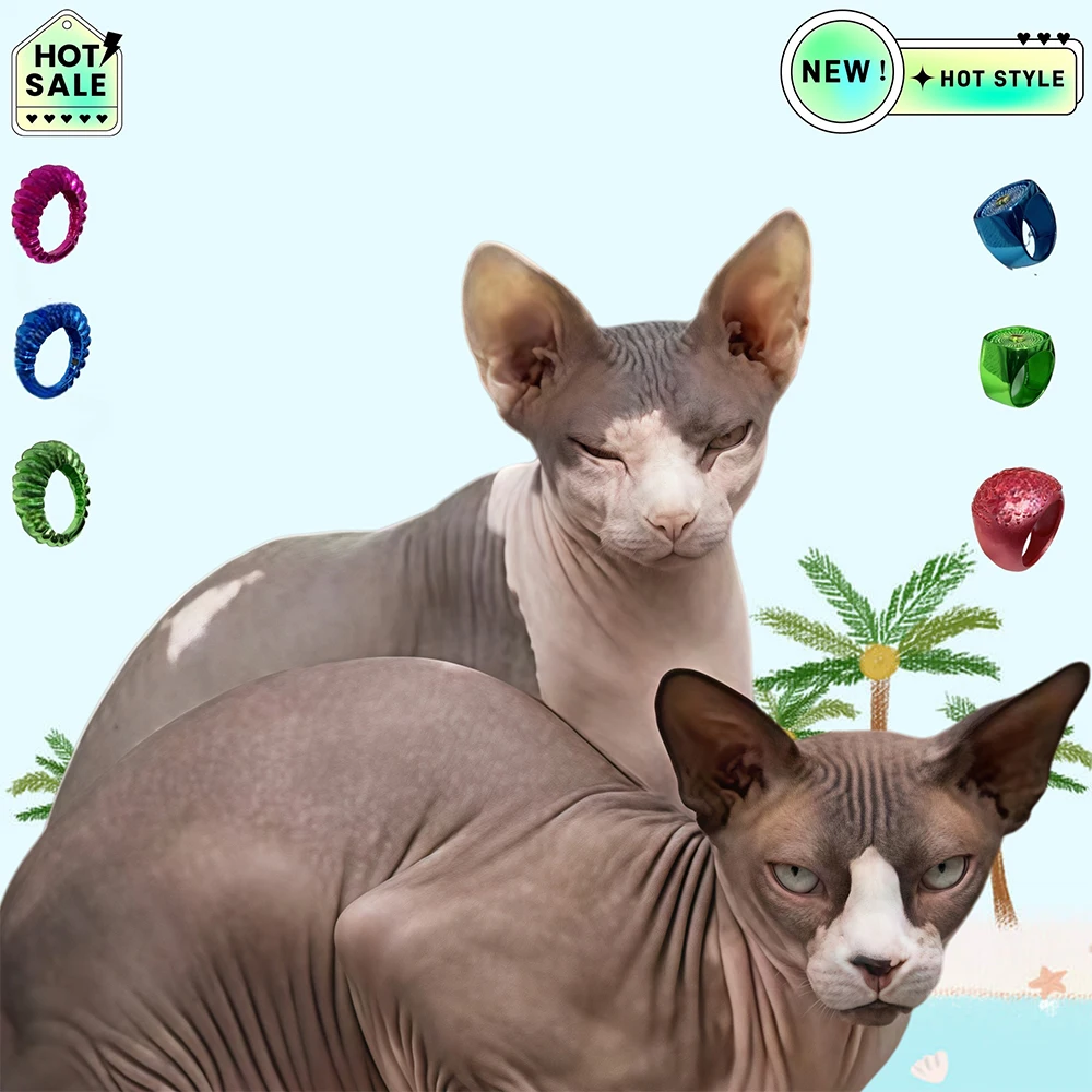 

Cat Accessories 2025 Spain Original Ring High Quality Simple Fashion Gift Suitable for Giving To People and Girls To Wear