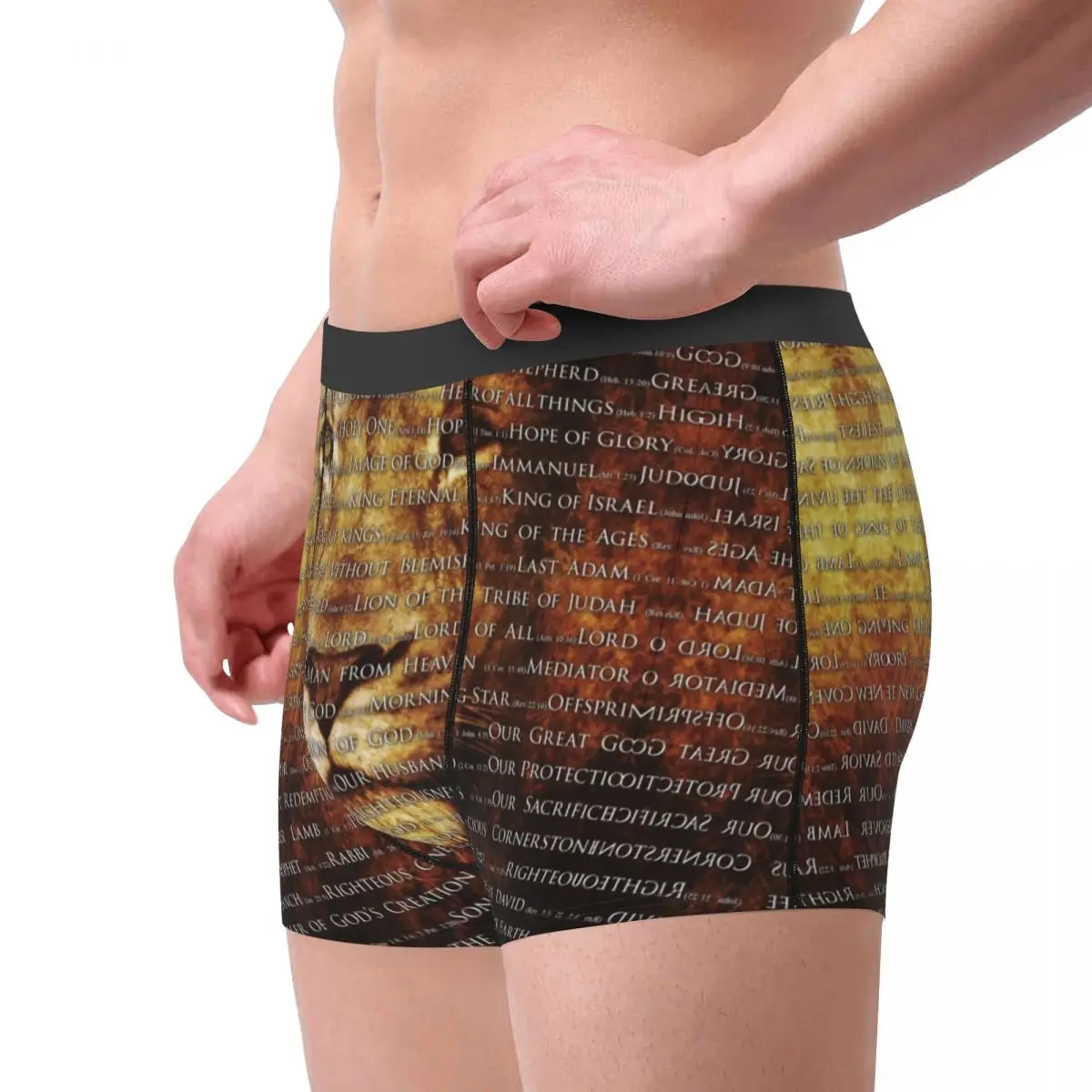 Male Cool The Names Of God Jesus Lion Underwear Christian Catholic Boxer Briefs Breathbale Shorts Panties Underpants