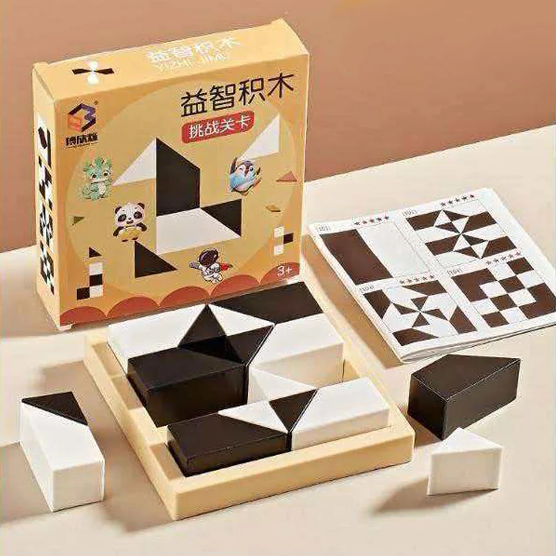 Plastic Hidden Blocks Geometric Shape Pattern Jigsaw 3D Logic Thinking Brain Teaser Toys IQ Challenge For Kids Teens Adults