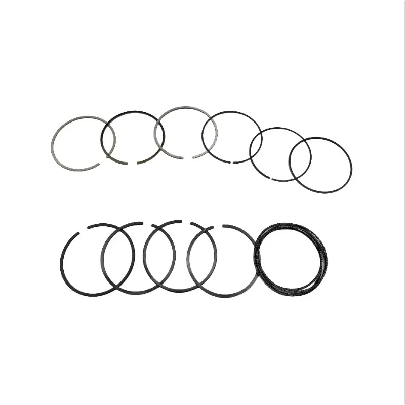 Factory Sells High Quality Auto Engine Piston Ring for Mercedes 273 Large Bore 98MM M273.968 A2730302117